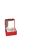 /i//jewelry_box_detail_lg_clr.gif
