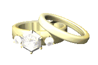 /i//wedding_ring_set_sparkle_lg_clr.gif